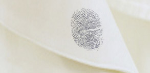 The Corporate Criminal